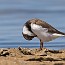 thumbs/IMG_6931.jpg